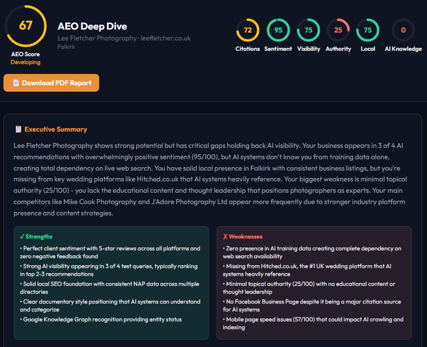 AI Visibility Audit report